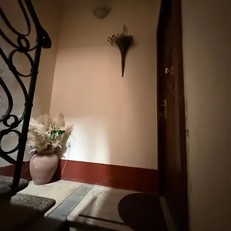 Martina Fillungo Loft Apartamento Lucca